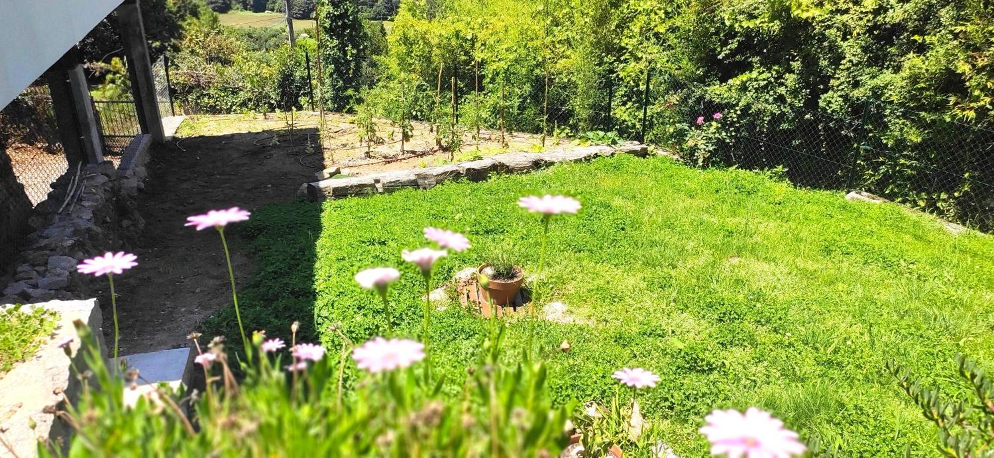 Casa A Mi Vera Covelo  المظهر الخارجي الصورة
